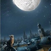 Наталья Лобова's photo