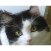 Carolyn Rettke Kasper's photo