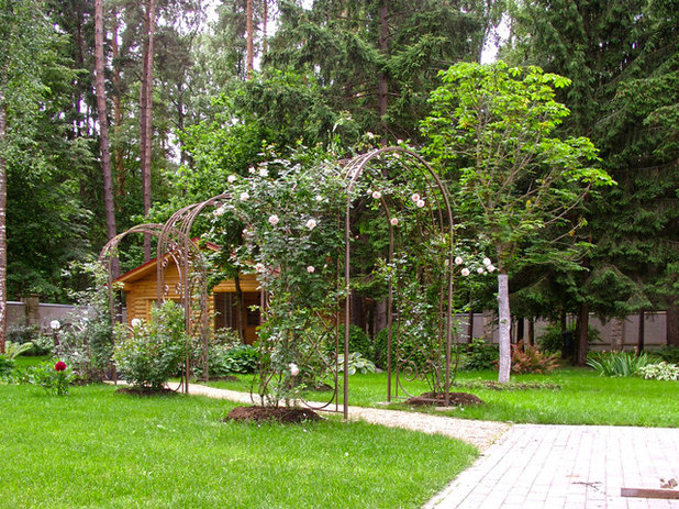 Современный Сад by Ландшафтная мастерская Алены Арсеньевой