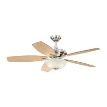 Ceiling Fans