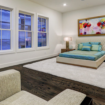 A Modern Marvel in Houston's Museum District