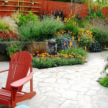 Flowers and plants