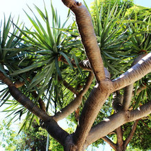 kingscliffe outdoor