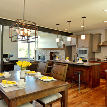 Colorado Inspired Industrial Modern