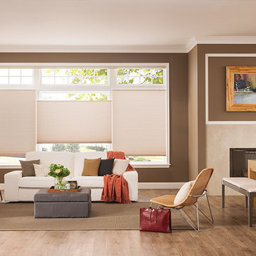 Bali 3/4" Single Cell Cellular Shades Cosmopolitan, Palm Tree 2854