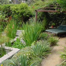 Zen Garden