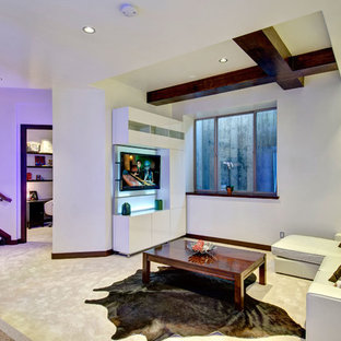 デンバーの大きいコンテンポラリースタイルのおしゃれな地下室 (白い壁、カーペット敷き、暖炉なし、半地下 (窓あり) 、白い床) の写真