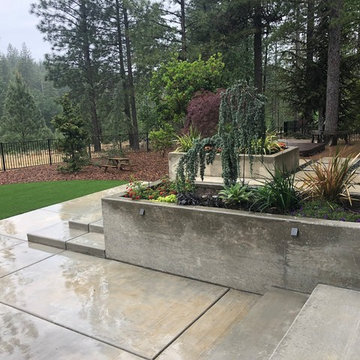 Contemporary Mountain Woodland