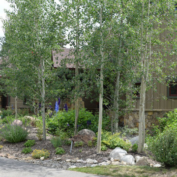 Design - Build Landscape Local Summit Residence