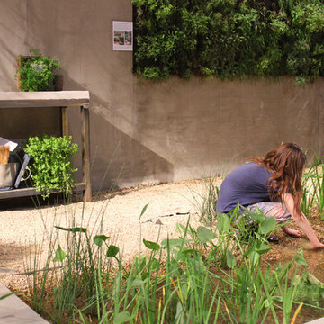 Natural Swimming Pool. 2014 Chicago Flower and Garden Show