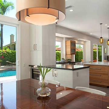 European Minimalism in Rancho Peñasquitos