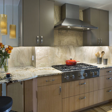 Contemporary Kitchen