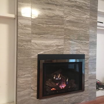 Goldberg Fireplace Insert