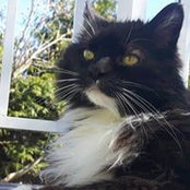 Lacey Catcheway's photo