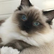 Tracy Williams's photo