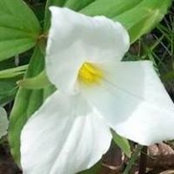 Cathy Ritondale's photo