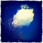 Ji Liu's photo