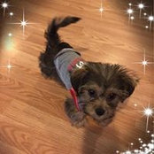 Brenda Lee's photo