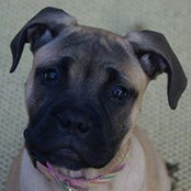 Jill Larimer's photo