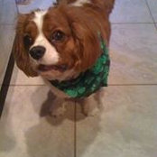Leslie Einhaus's photo