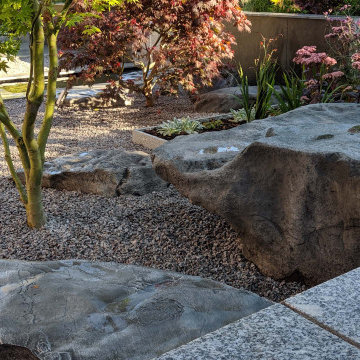 Contemporary Pond Garden - Garden boulders and tree.