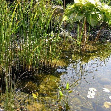 Wasser im Garten