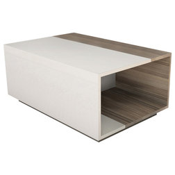 Contemporary Coffee Tables Surprise Modern Coffee Table