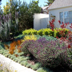 English Garden, California Style - Traditional - Landscape - Los