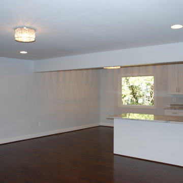 Annapolis Foreclosure Remodel