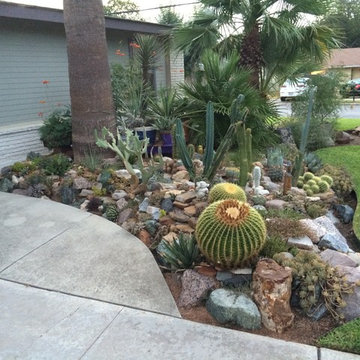 cactus & Succulent Gardens