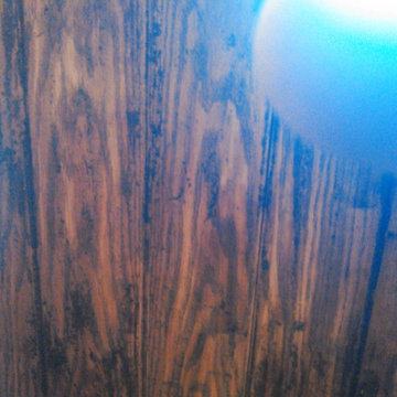 Deck Staining & Refinishing