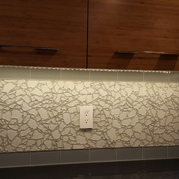 Contemporary Kitchen remodel