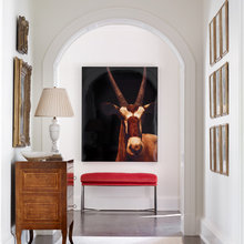 Ceiling Molding