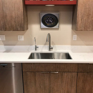 Mid-Century Modern Kitchen