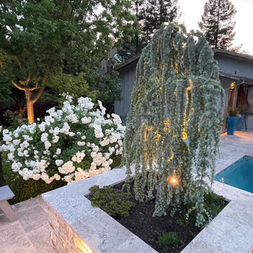 Park View Contemporary