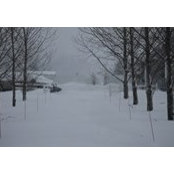Rick DeShano's photo