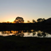 Mark Wanamaker's photo
