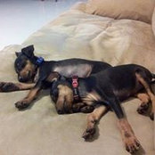 Nathan Allan's photo