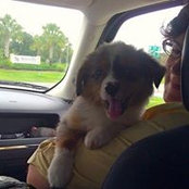 Gee Angelopoulos's photo