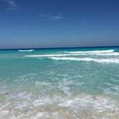 Angela Crognale's photo