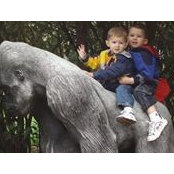 Andrea E's photo