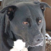 Dolores Matarazzo's photo