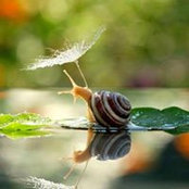 Cyrielle Michaut's photo