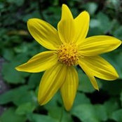 Amy Schwarz's photo