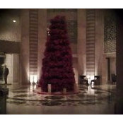 Mohamed Yassien's photo