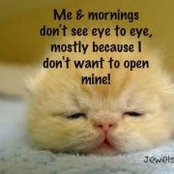 Arlene Tenery's photo