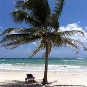 Foto von Jeannine McDaniel