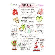 sketchnotes