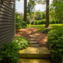 Outdoor - Plants and Trees