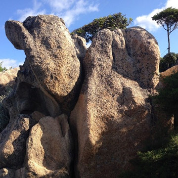 Corsica